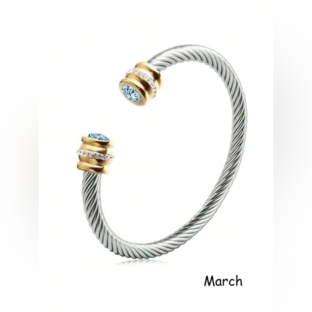 March Silver & Gold Bracelet